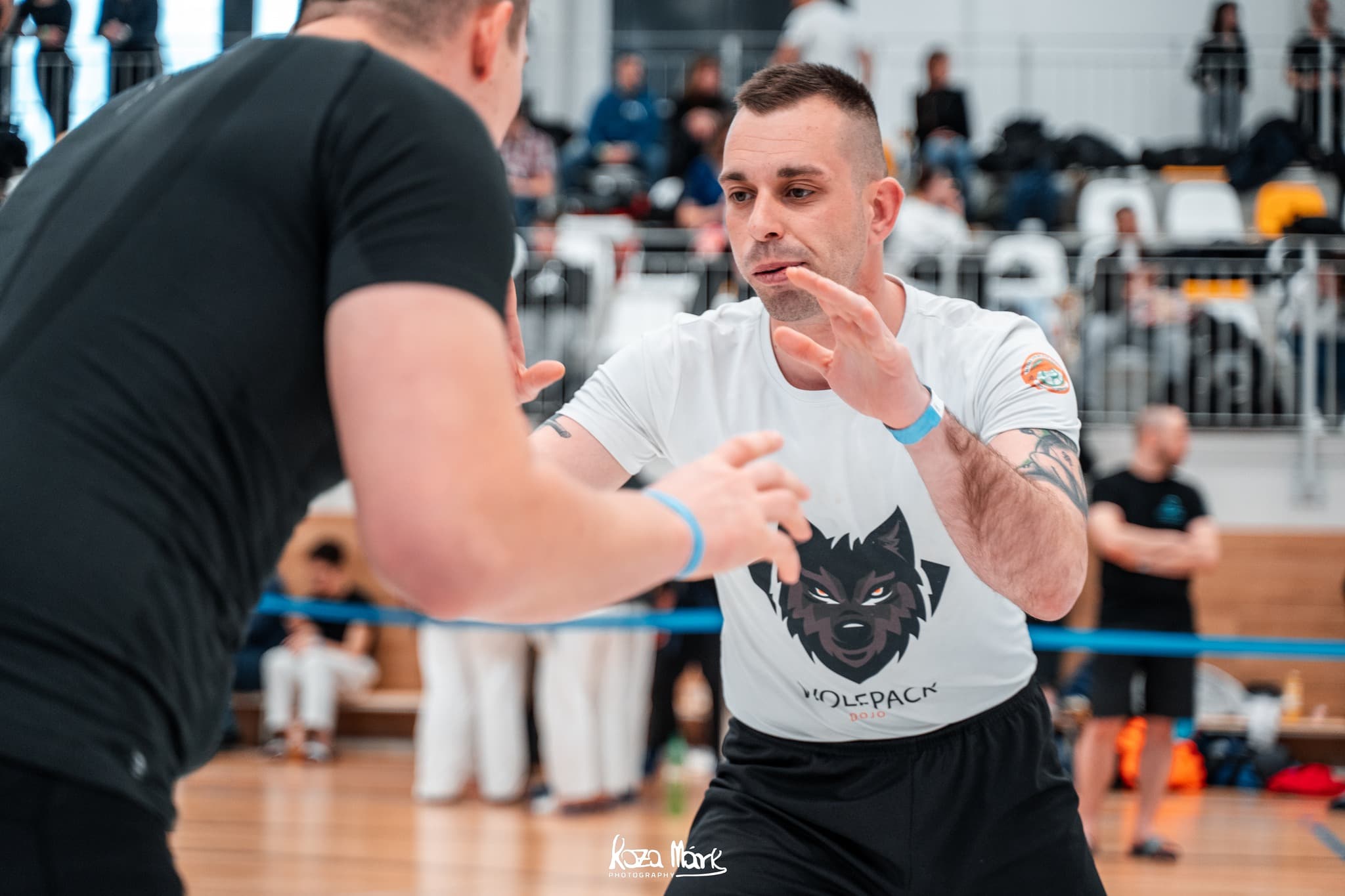 NoGi grappling küzdősport edzés Budapest